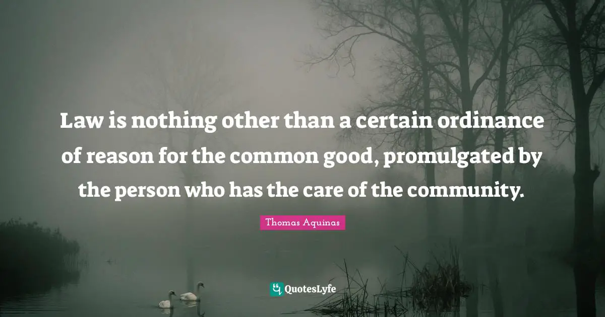 Law is nothing other than a certain ordinance of reason for the common good, promulgated by the person who has the care of the community.