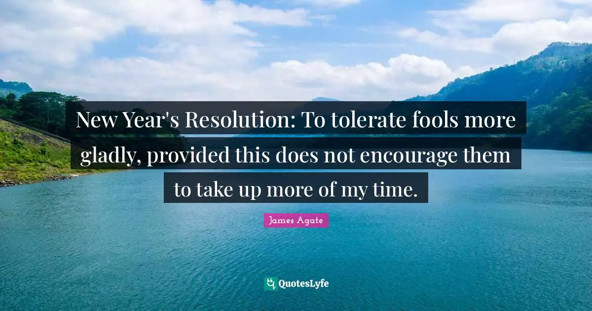 New Year's Resolution: To tolerate fools more gladly, provided this does not encourage them to take up more of my time.
