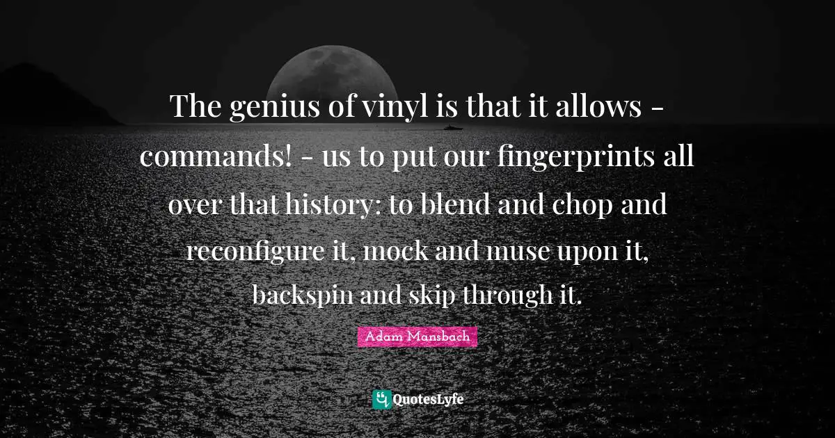 The genius of vinyl is that it allows - commands! - us to put our fingerprints all over that history: to blend and chop and reconfigure it, mock and muse upon it, backspin and skip through it.