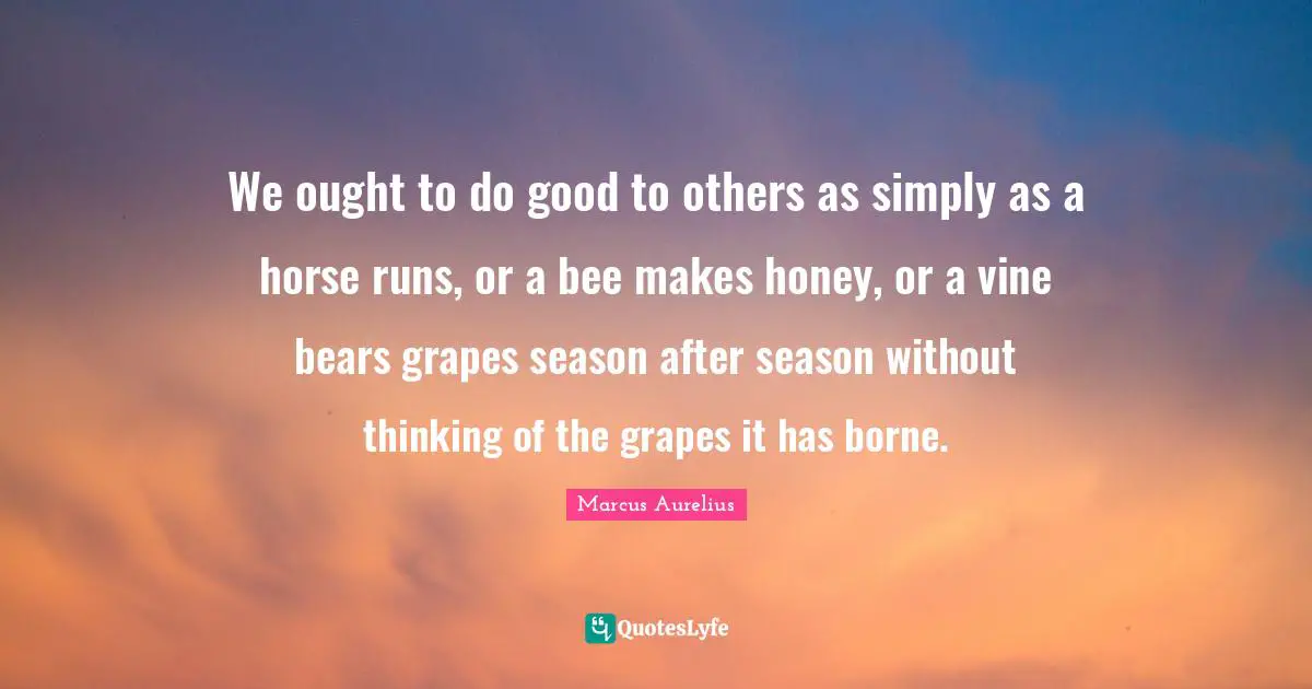 We ought to do good to others as simply as a horse runs, or a bee makes honey, or a vine bears grapes season after season without thinking of the grapes it has borne.