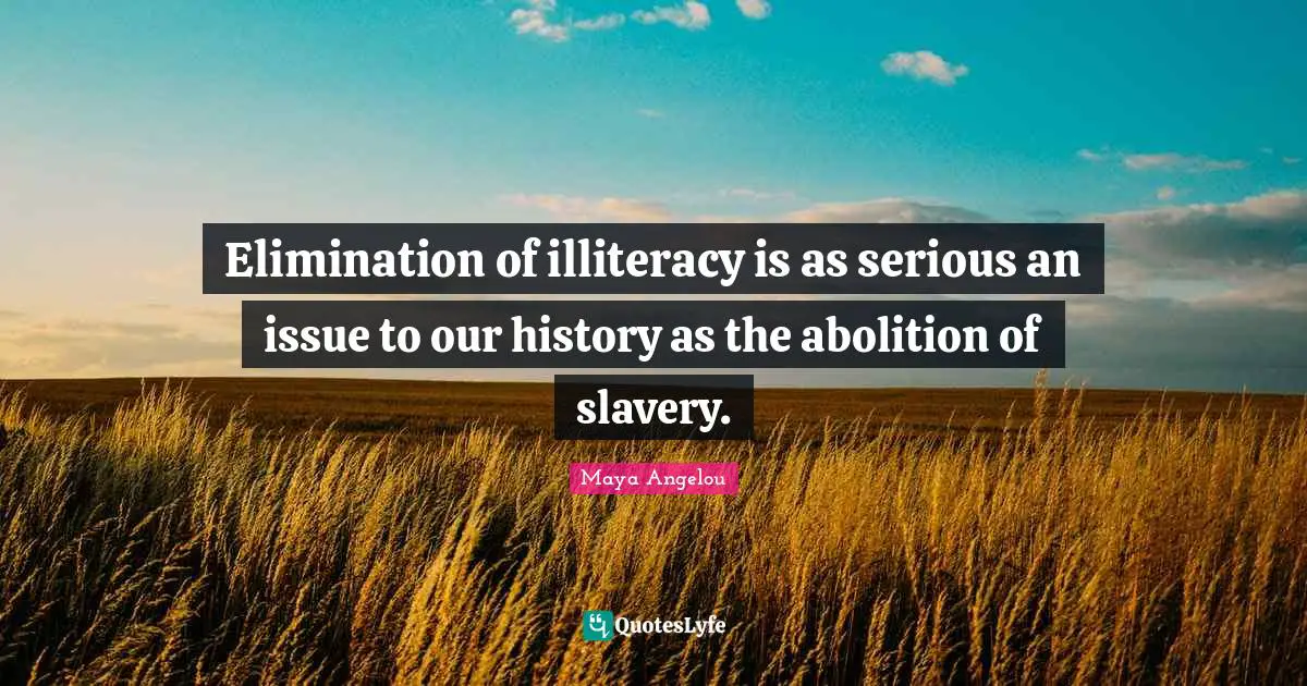 Elimination of illiteracy is as serious an issue to our history as the abolition of slavery.