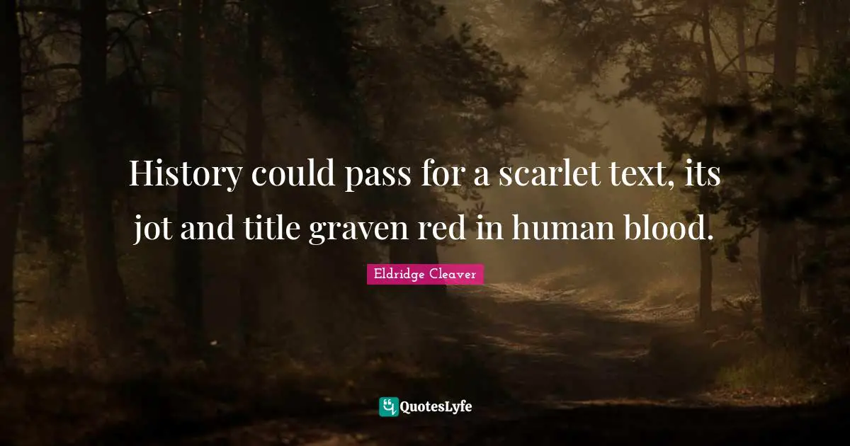 History could pass for a scarlet text, its jot and title graven red in human blood.