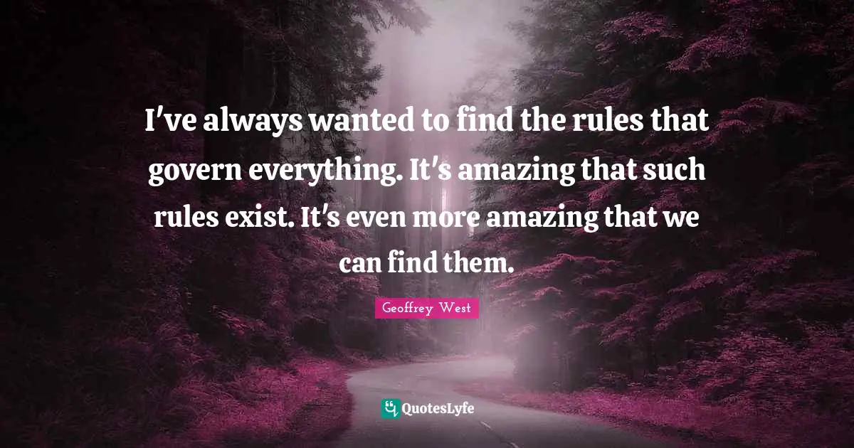 I've always wanted to find the rules that govern everything. It's amazing that such rules exist. It's even more amazing that we can find them.