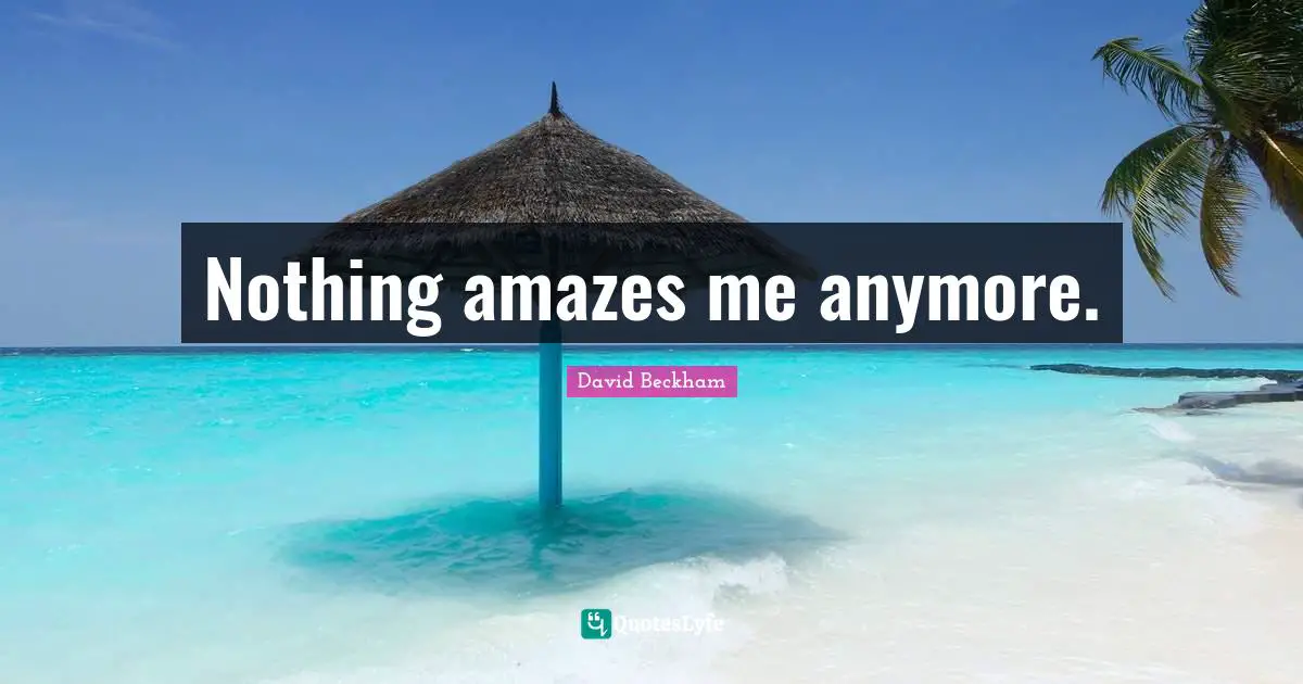 Nothing amazes me anymore.