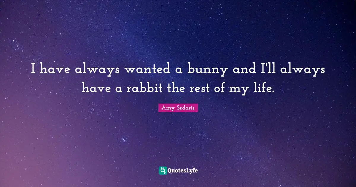 Amy Sedaris Quotes: "I have always wanted a bunny and I'll always have a rabbit the rest of my life."