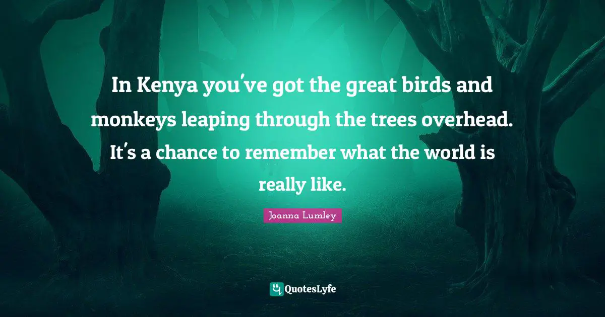 In Kenya you've got the great birds and monkeys leaping through the trees overhead. It's a chance to remember what the world is really like.