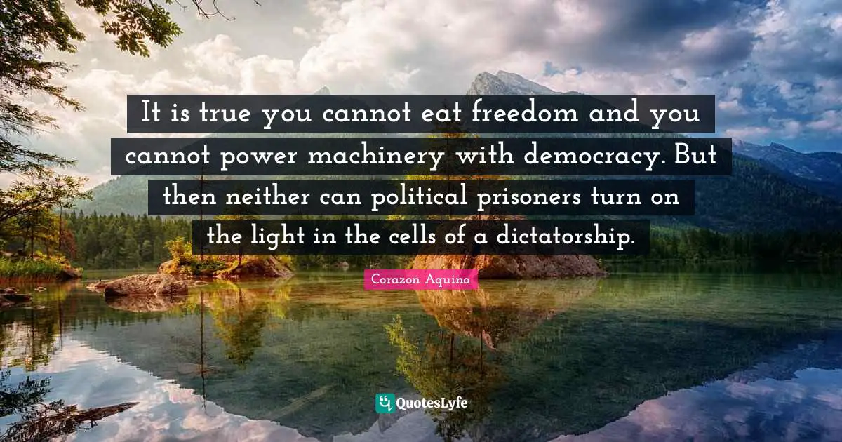 It is true you cannot eat freedom and you cannot power machinery with democracy. But then neither can political prisoners turn on the light in the cells of a dictatorship.