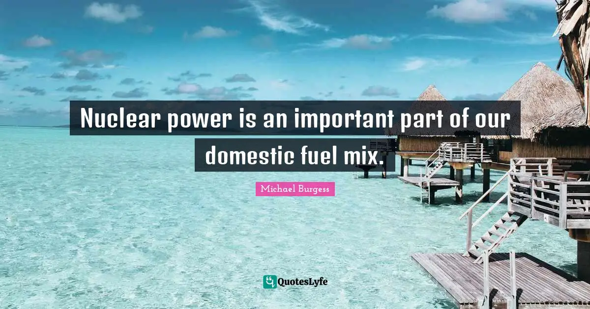 Mix Quotes: "Nuclear power is an important part of our domestic fuel mix."