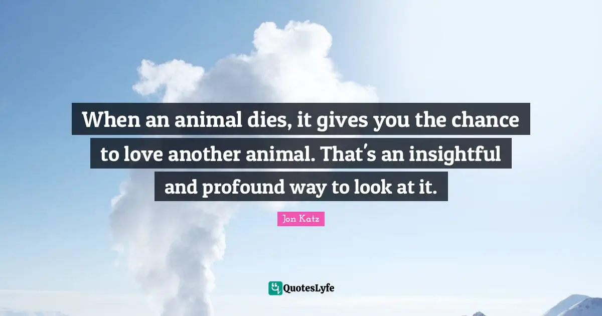 When an animal dies, it gives you the chance to love another animal. That's an insightful and profound way to look at it.