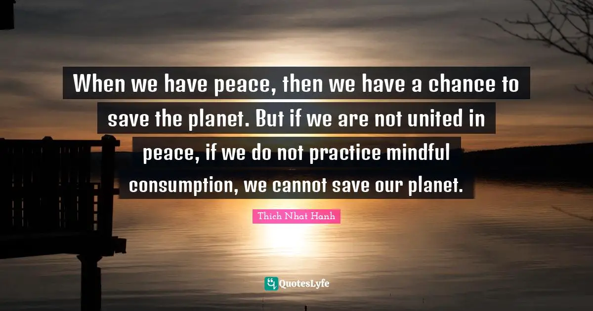 Thich Nhat Hanh Quotes: "When we have peace, then we have a chance to save the planet. But if we are not united in peace, if we do not practice mindful consumption, we cannot save our planet."