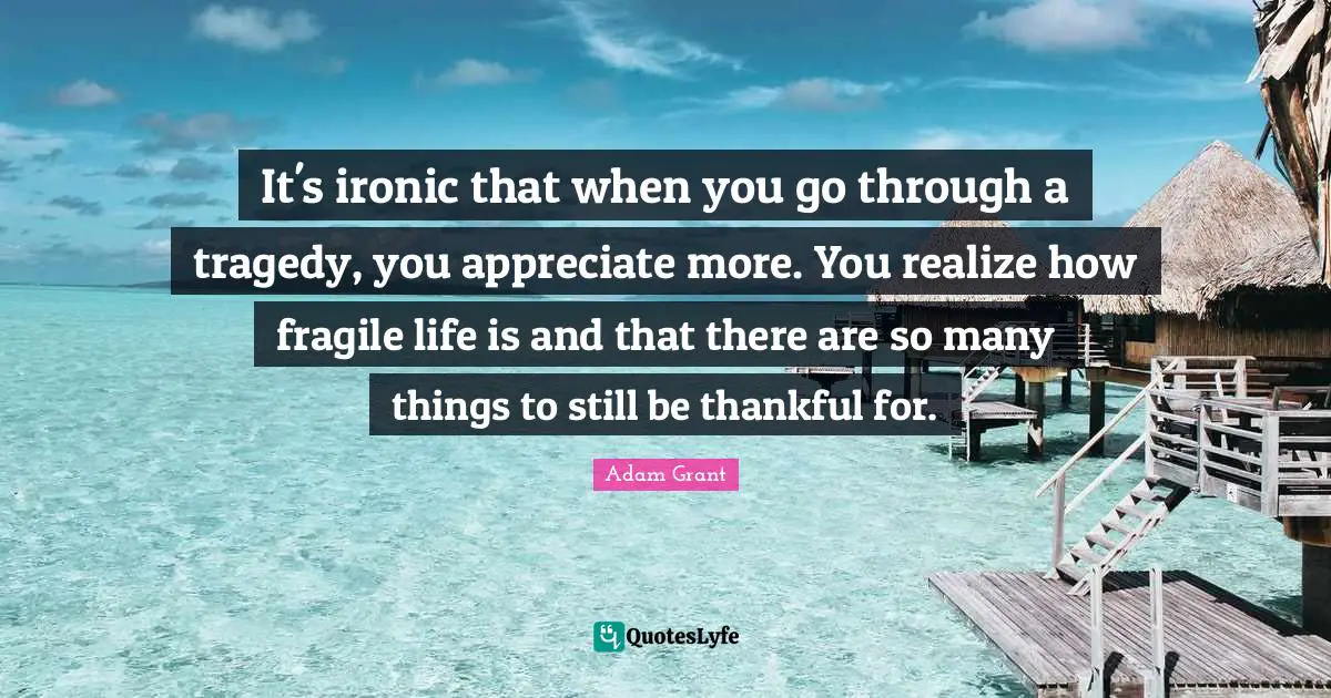 Adam Grant Quotes: "It's ironic that when you go through a tragedy, you appreciate more. You realize how fragile life is and that there are so many things to still be thankful for."