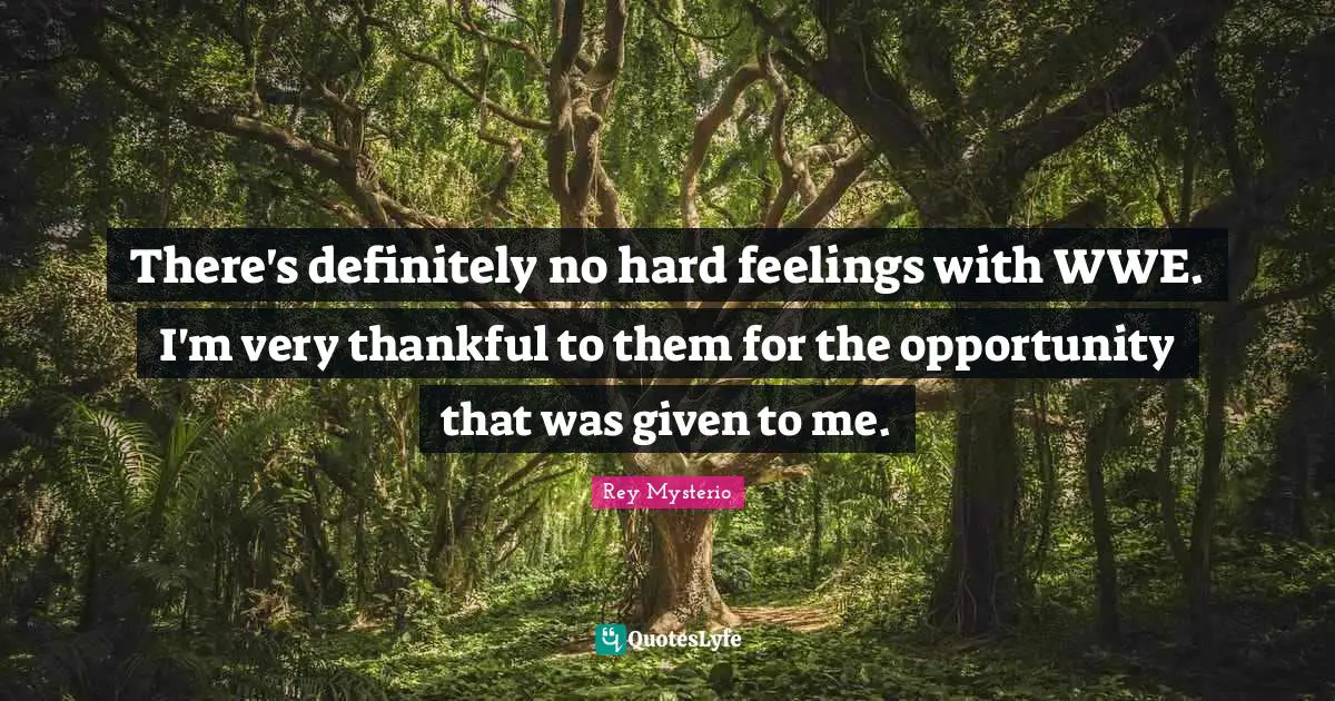 There's definitely no hard feelings with WWE. I'm very thankful to them for the opportunity that was given to me.