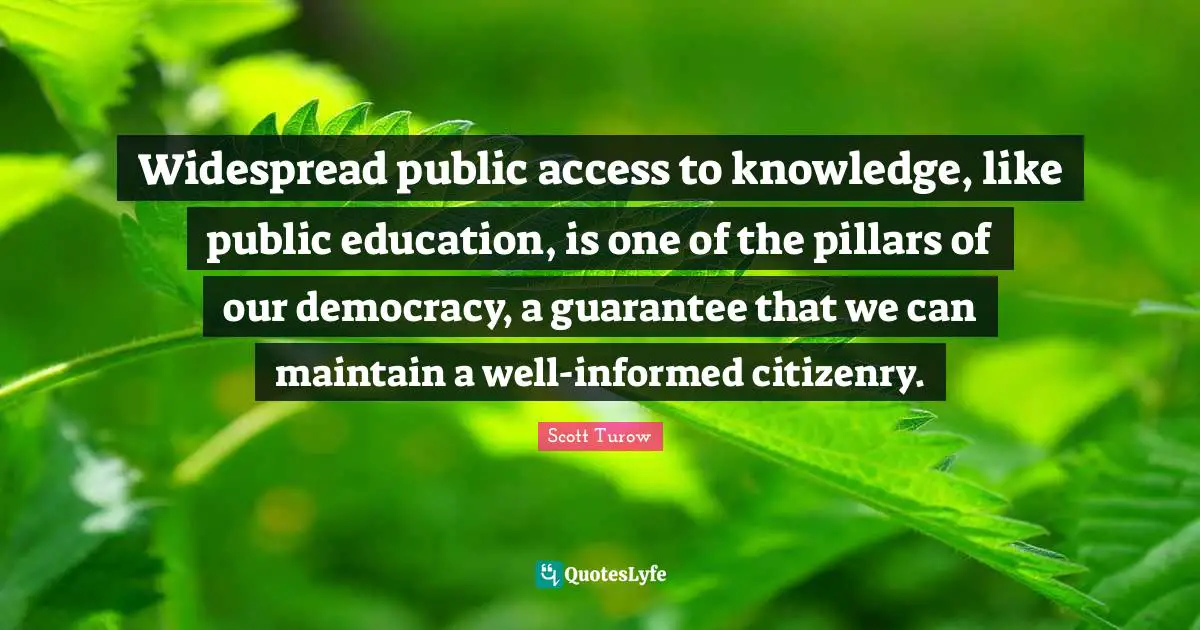 Widespread public access to knowledge, like public education, is one of the pillars of our democracy, a guarantee that we can maintain a well-informed citizenry.