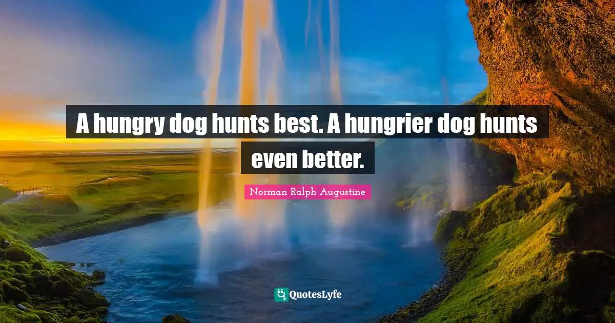 A hungry dog hunts best. A hungrier dog hunts even better.