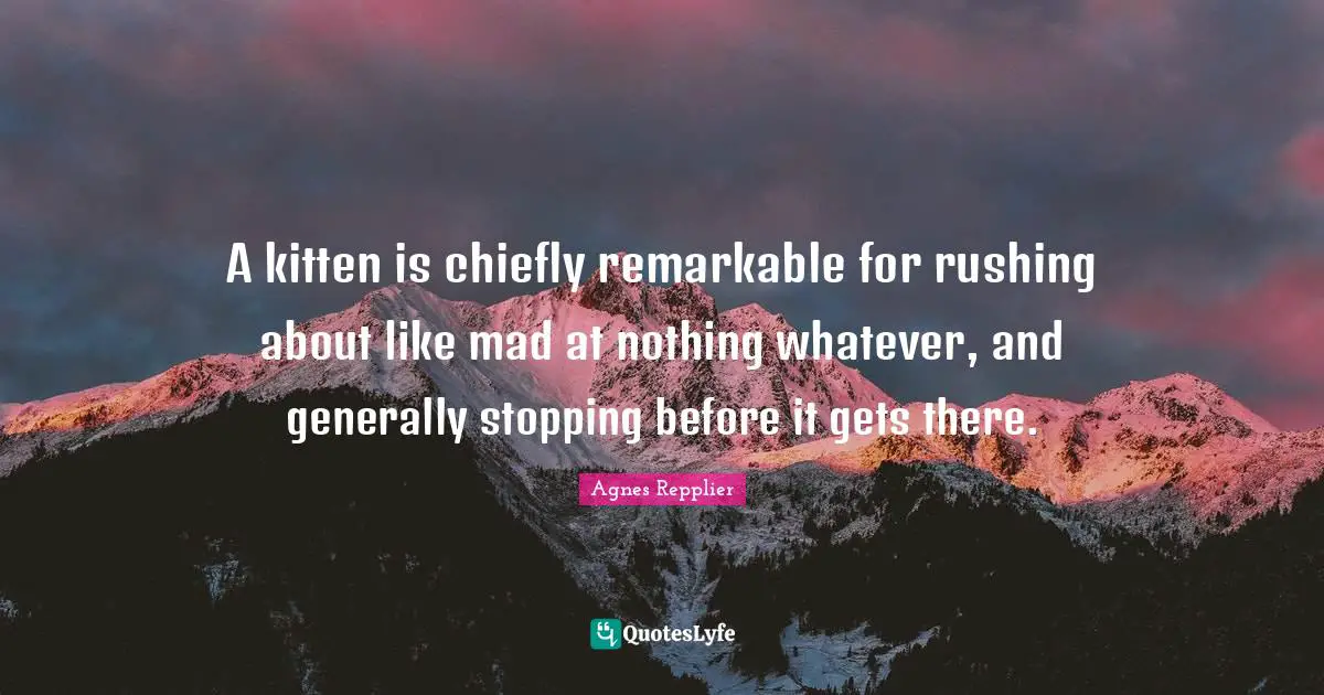 A kitten is chiefly remarkable for rushing about like mad at nothing whatever, and generally stopping before it gets there.
