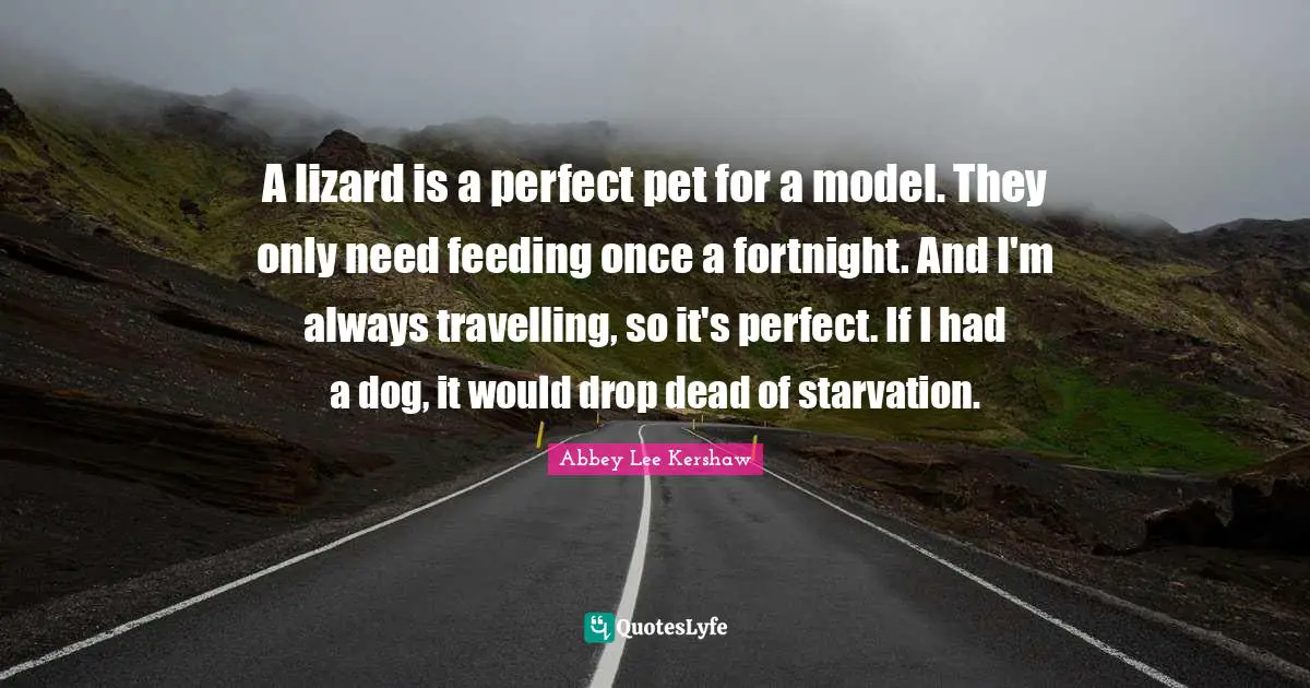 A lizard is a perfect pet for a model. They only need feeding once a fortnight. And I'm always travelling, so it's perfect. If I had a dog, it would drop dead of starvation.