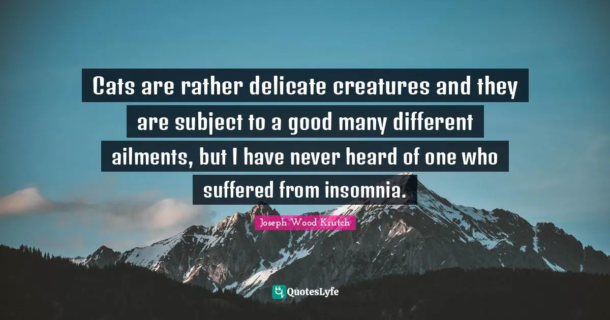 Cats are rather delicate creatures and they are subject to a good many different ailments, but I have never heard of one who suffered from insomnia.