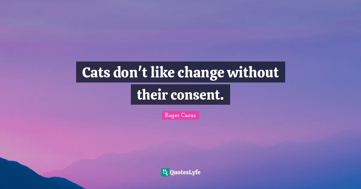 Cats don't like change without their consent.
