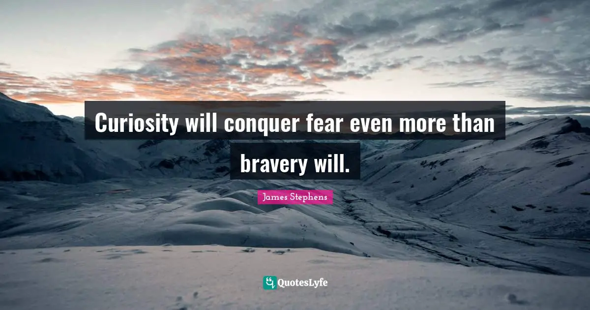 Curiosity will conquer fear even more than bravery will.