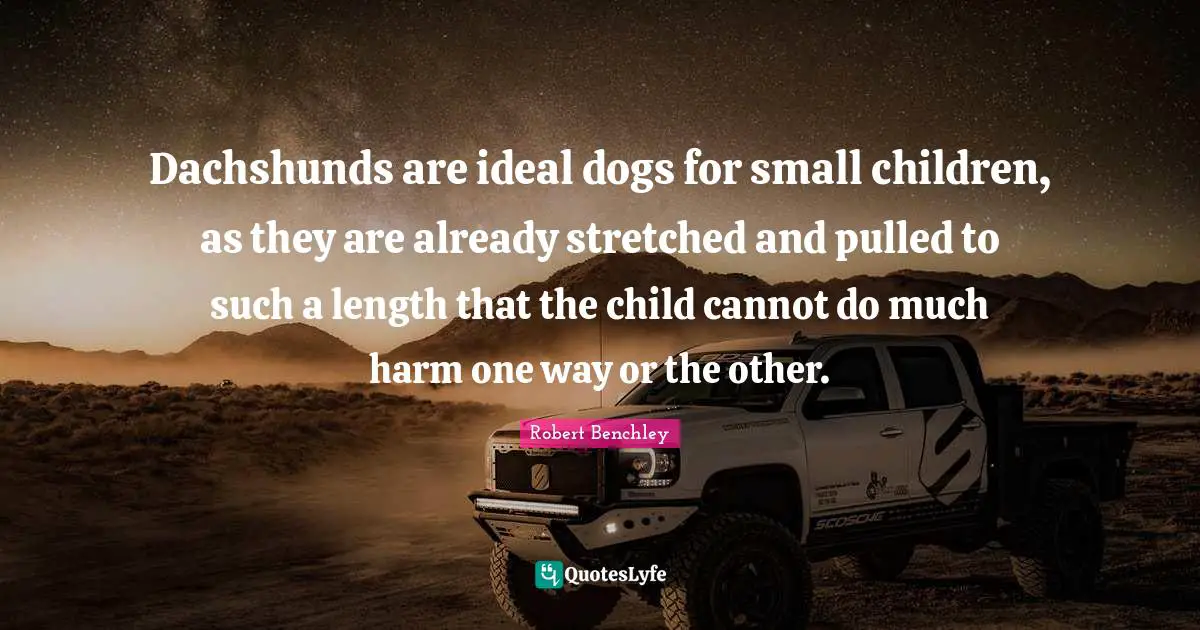 Dachshunds are ideal dogs for small children, as they are already stretched and pulled to such a length that the child cannot do much harm one way or the other.