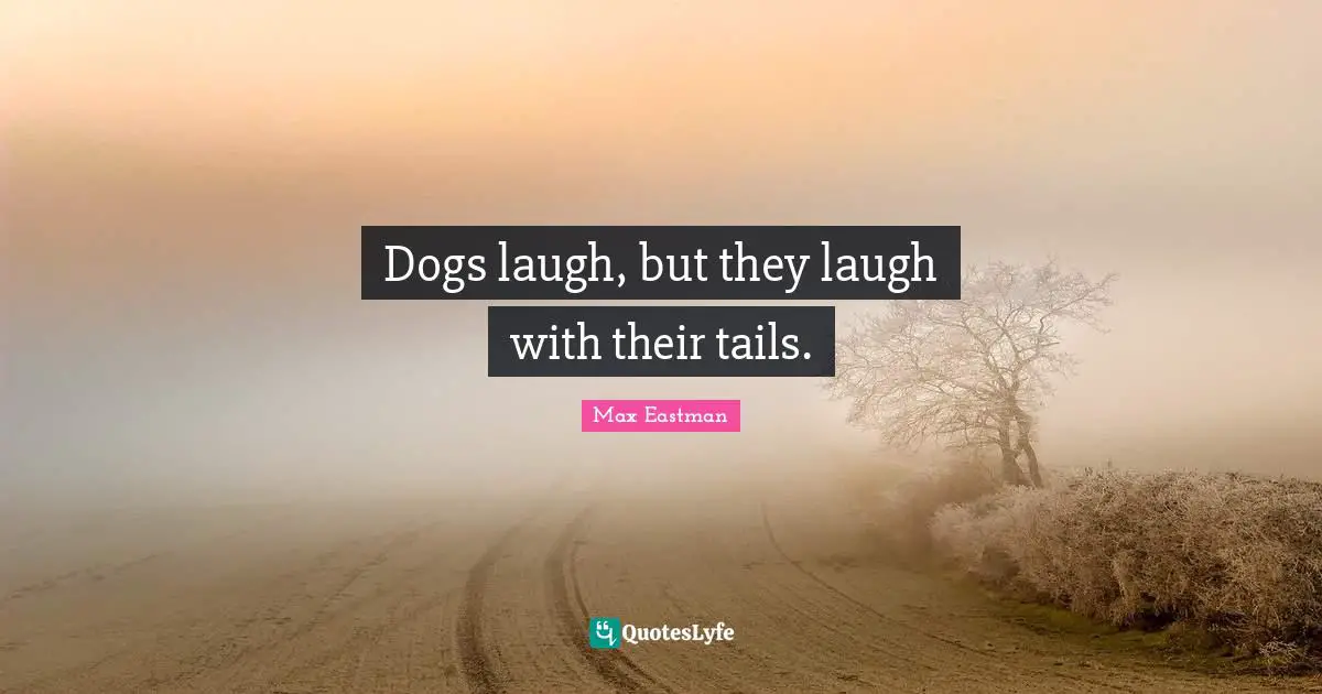 Dogs laugh, but they laugh with their tails.