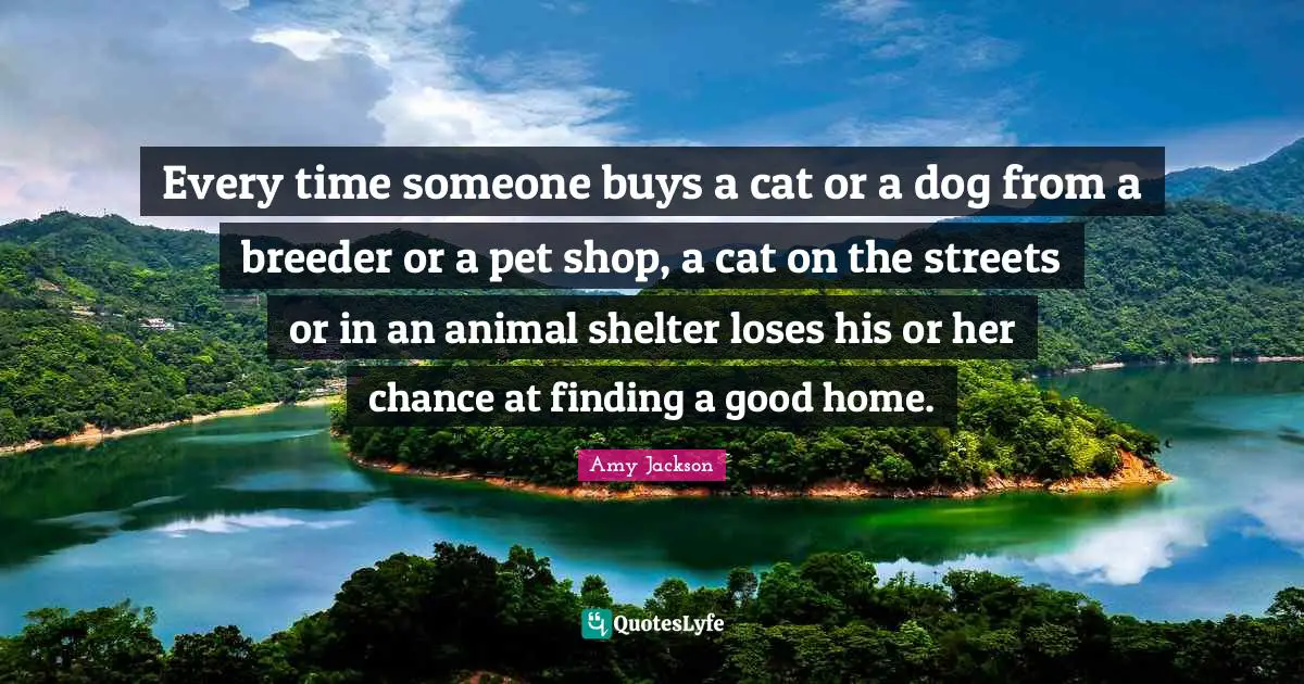 Amy Jackson Quotes: "Every time someone buys a cat or a dog from a breeder or a pet shop, a cat on the streets or in an animal shelter loses his or her chance at finding a good home."