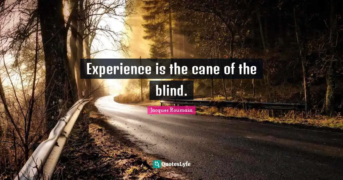 Experience is the cane of the blind.