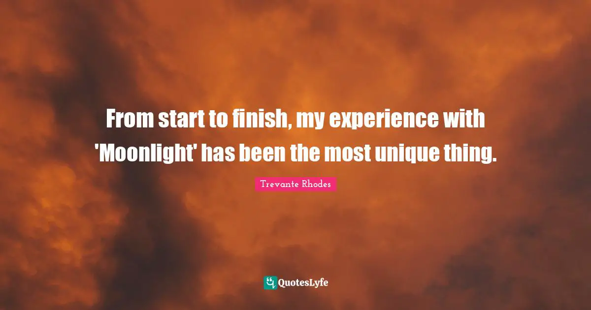 From start to finish, my experience with 'Moonlight' has been the most unique thing.