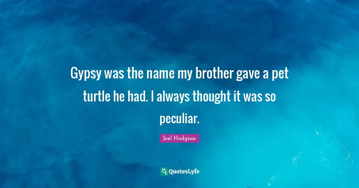 Gypsy was the name my brother gave a pet turtle he had. I always thought it was so peculiar.