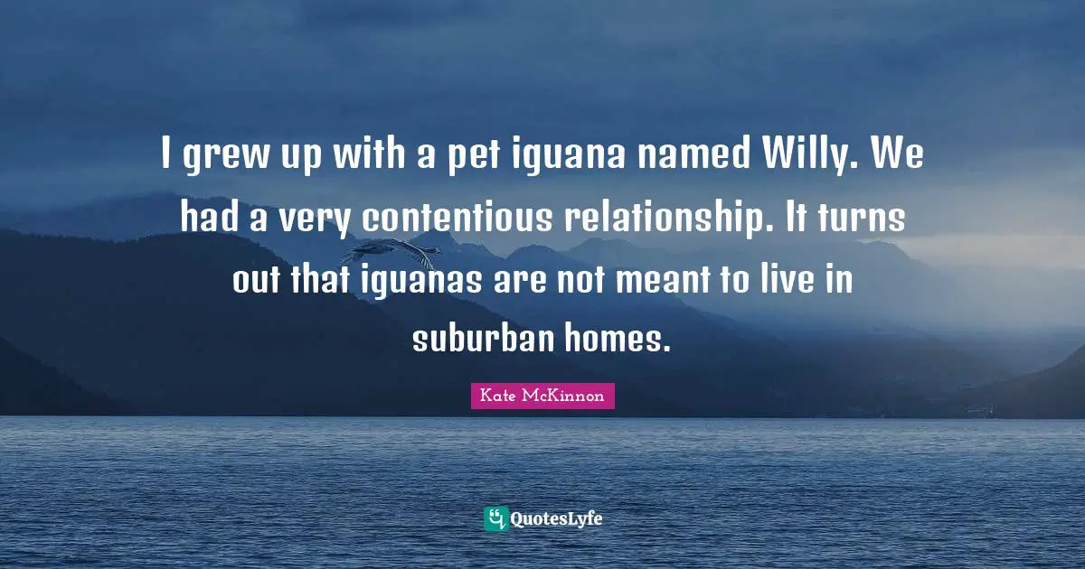I grew up with a pet iguana named Willy. We had a very contentious relationship. It turns out that iguanas are not meant to live in suburban homes.