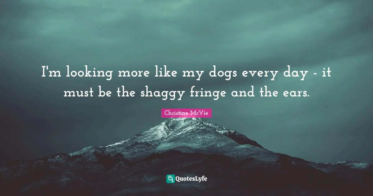 I'm looking more like my dogs every day - it must be the shaggy fringe and the ears.