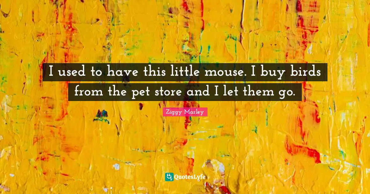 I used to have this little mouse. I buy birds from the pet store and I let them go.