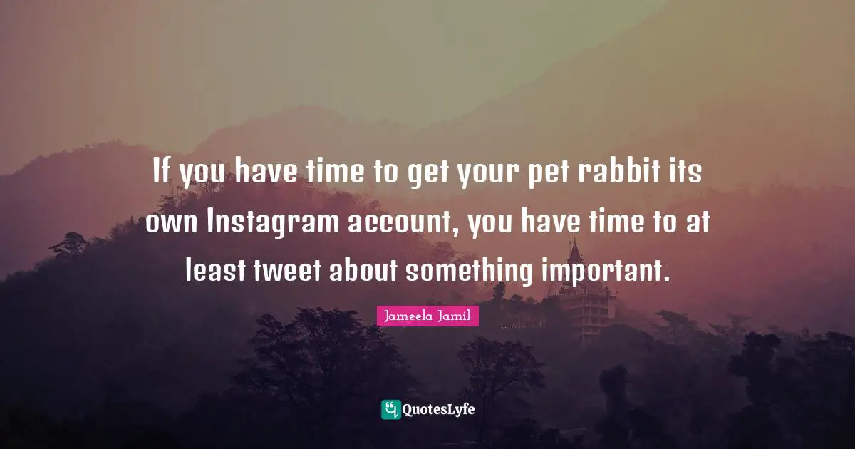 If you have time to get your pet rabbit its own Instagram account, you have time to at least tweet about something important.