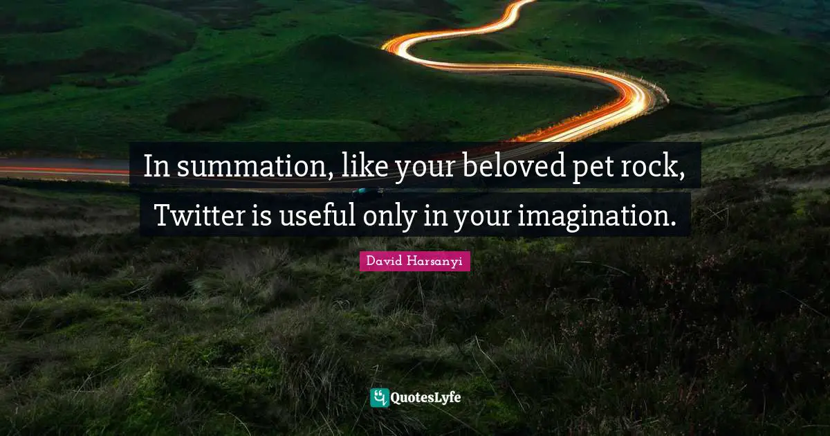 David Harsanyi Quotes: In summation, like your beloved pet rock, Twitter is useful only in your imagination.
