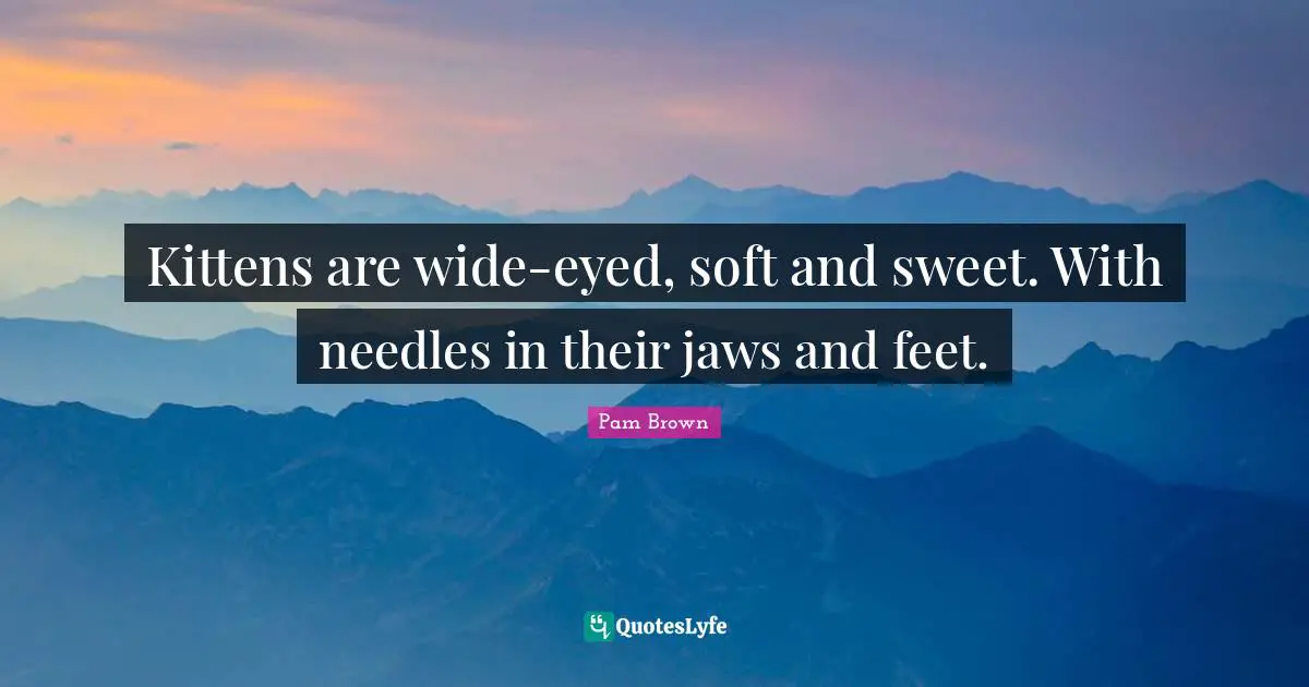 Kittens are wide-eyed, soft and sweet. With needles in their jaws and feet.