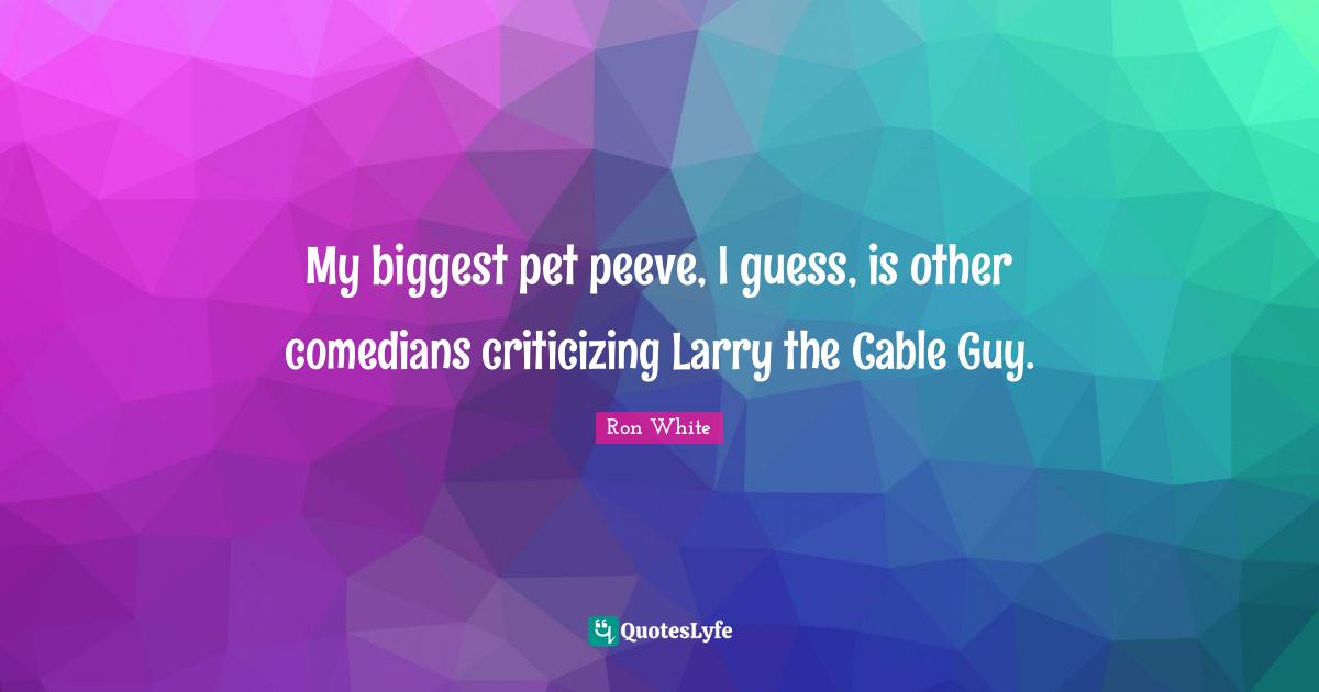My biggest pet peeve, I guess, is other comedians criticizing Larry the Cable Guy.