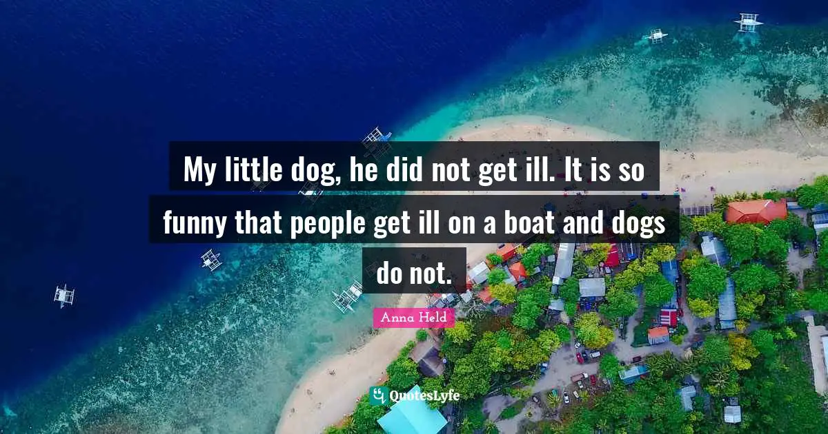 My little dog, he did not get ill. It is so funny that people get ill on a boat and dogs do not.