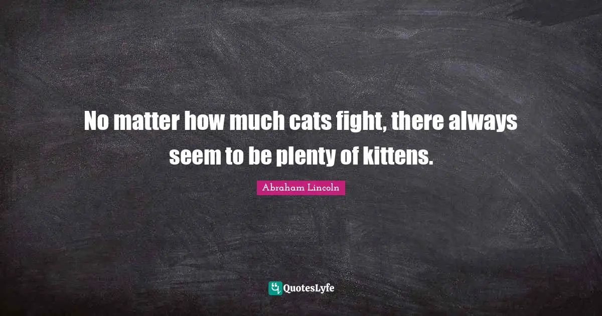 No matter how much cats fight, there always seem to be plenty of kittens.