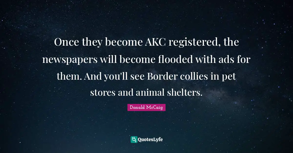 Once they become AKC registered, the newspapers will become flooded with ads for them. And you'll see Border collies in pet stores and animal shelters.