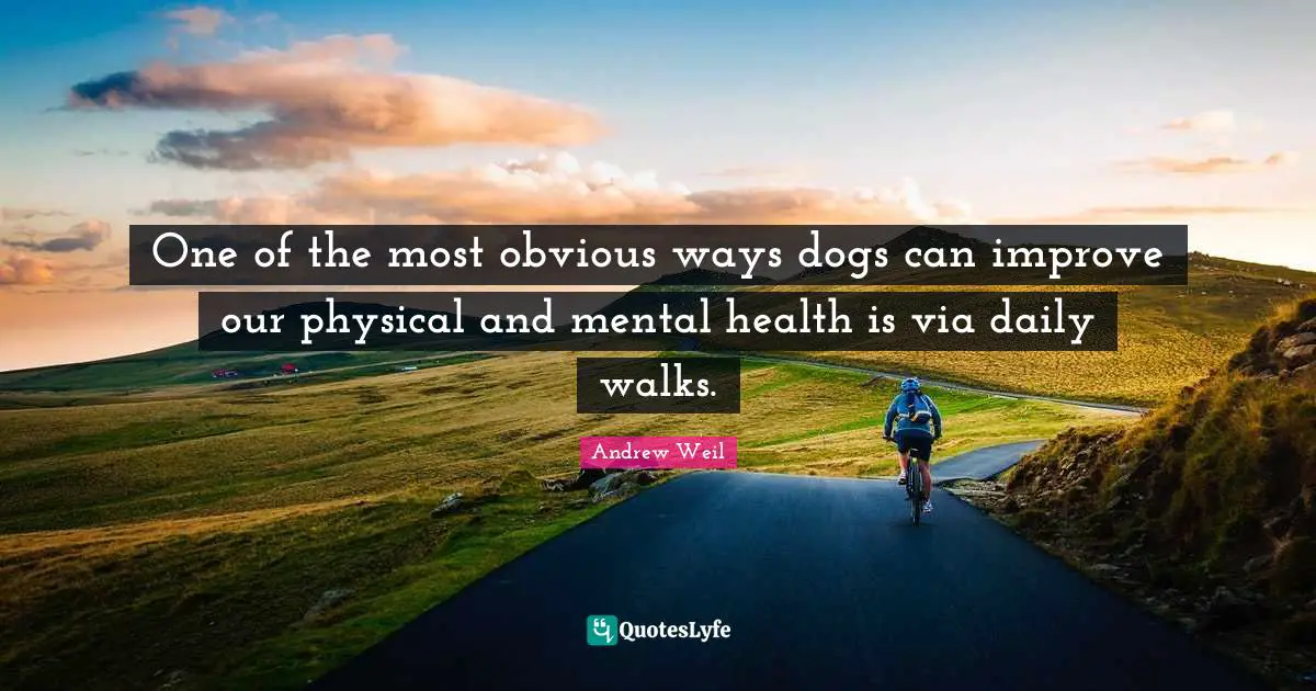 One of the most obvious ways dogs can improve our physical and mental health is via daily walks.