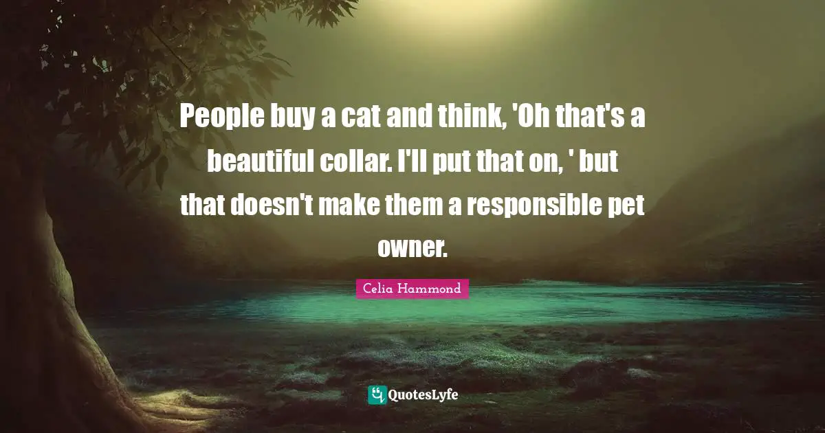People buy a cat and think, 'Oh that's a beautiful collar. I'll put that on, ' but that doesn't make them a responsible pet owner.