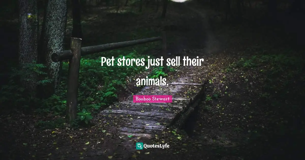 Pet stores just sell their animals.