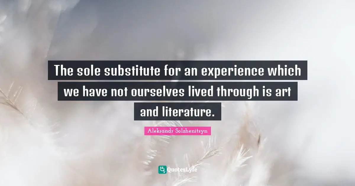 The sole substitute for an experience which we have not ourselves lived through is art and literature.