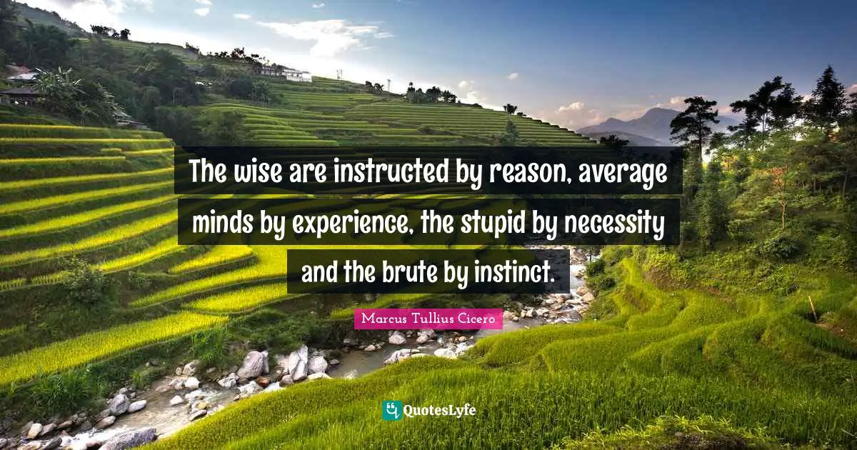 Marcus Tullius Cicero Quotes: The wise are instructed by reason, average minds by experience, the stupid by necessity and the brute by instinct.