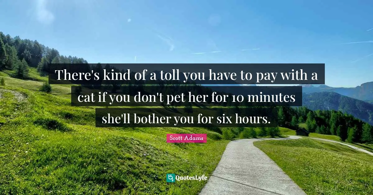 There's kind of a toll you have to pay with a cat if you don't pet her for 10 minutes she'll bother you for six hours.