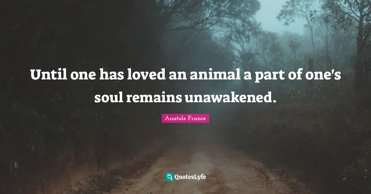 Animal Quotes: "Until one has loved an animal a part of one's soul remains unawakened."