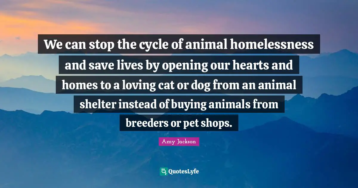 Amy Jackson Quotes: We can stop the cycle of animal homelessness and save lives by opening our hearts and homes to a loving cat or dog from an animal shelter instead of buying animals from breeders or pet shops.