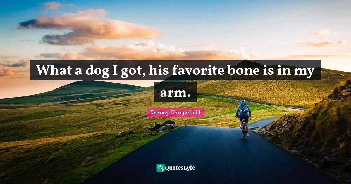 What a dog I got, his favorite bone is in my arm.