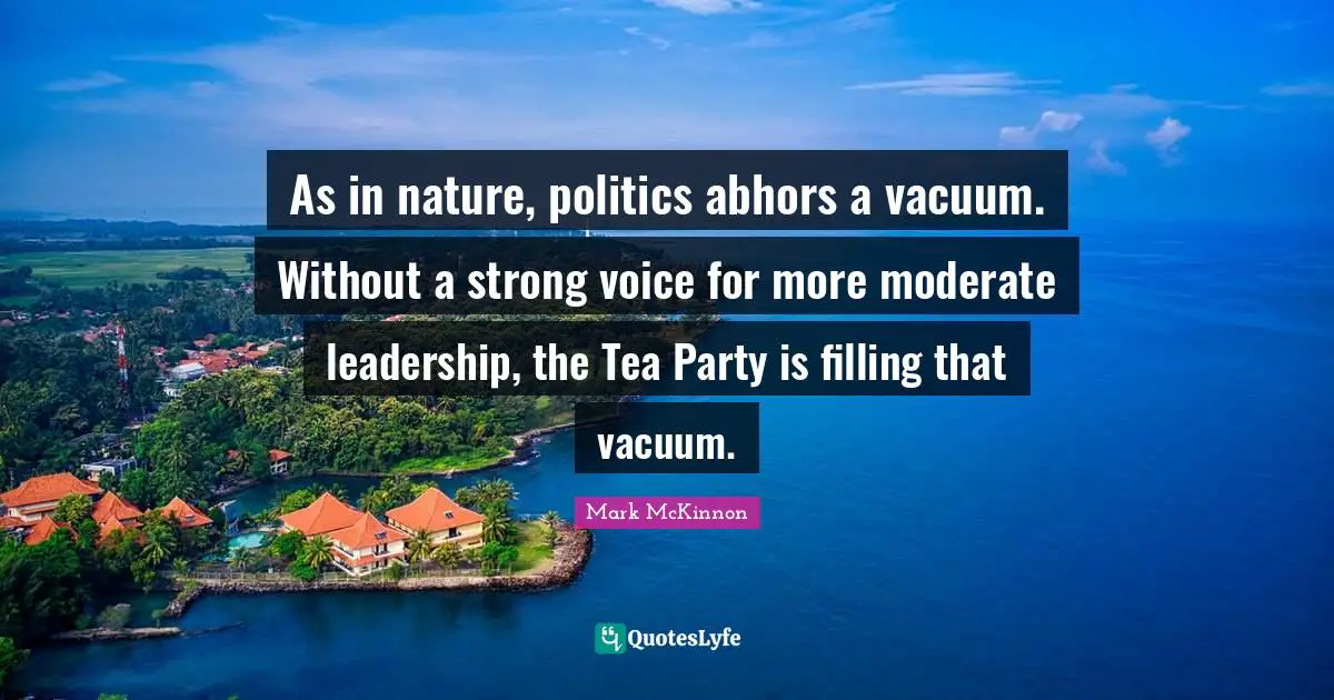 As in nature, politics abhors a vacuum. Without a strong voice for more moderate leadership, the Tea Party is filling that vacuum.