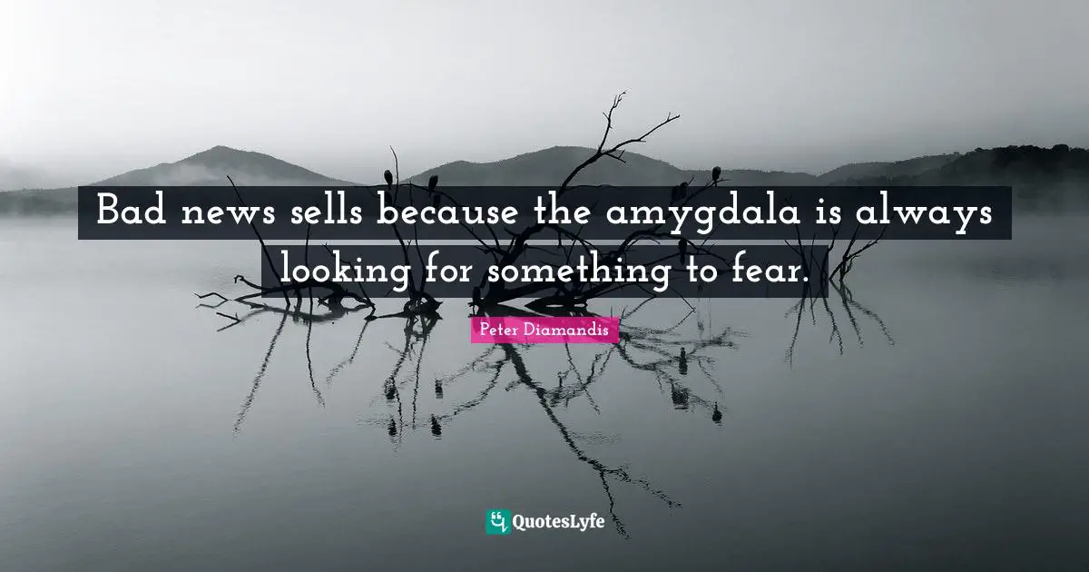 Bad news sells because the amygdala is always looking for something to fear.